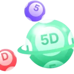 5D